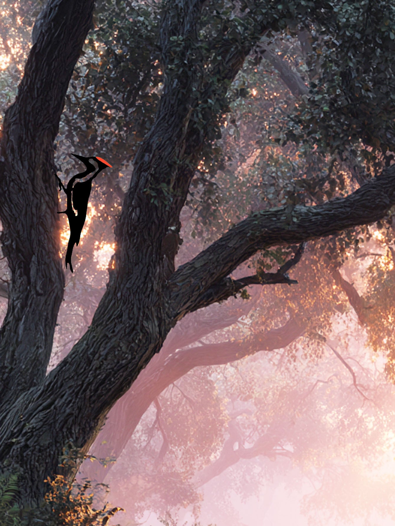 Metal Woodpecker Wall Art - Rust-Resistant Outdoor Decor For Garden & Patio